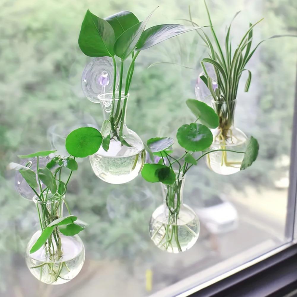 1/2/3/4/6/8 قطع مزهرية تكاثر ن - مراجعة Propagation Station Vase وسعره