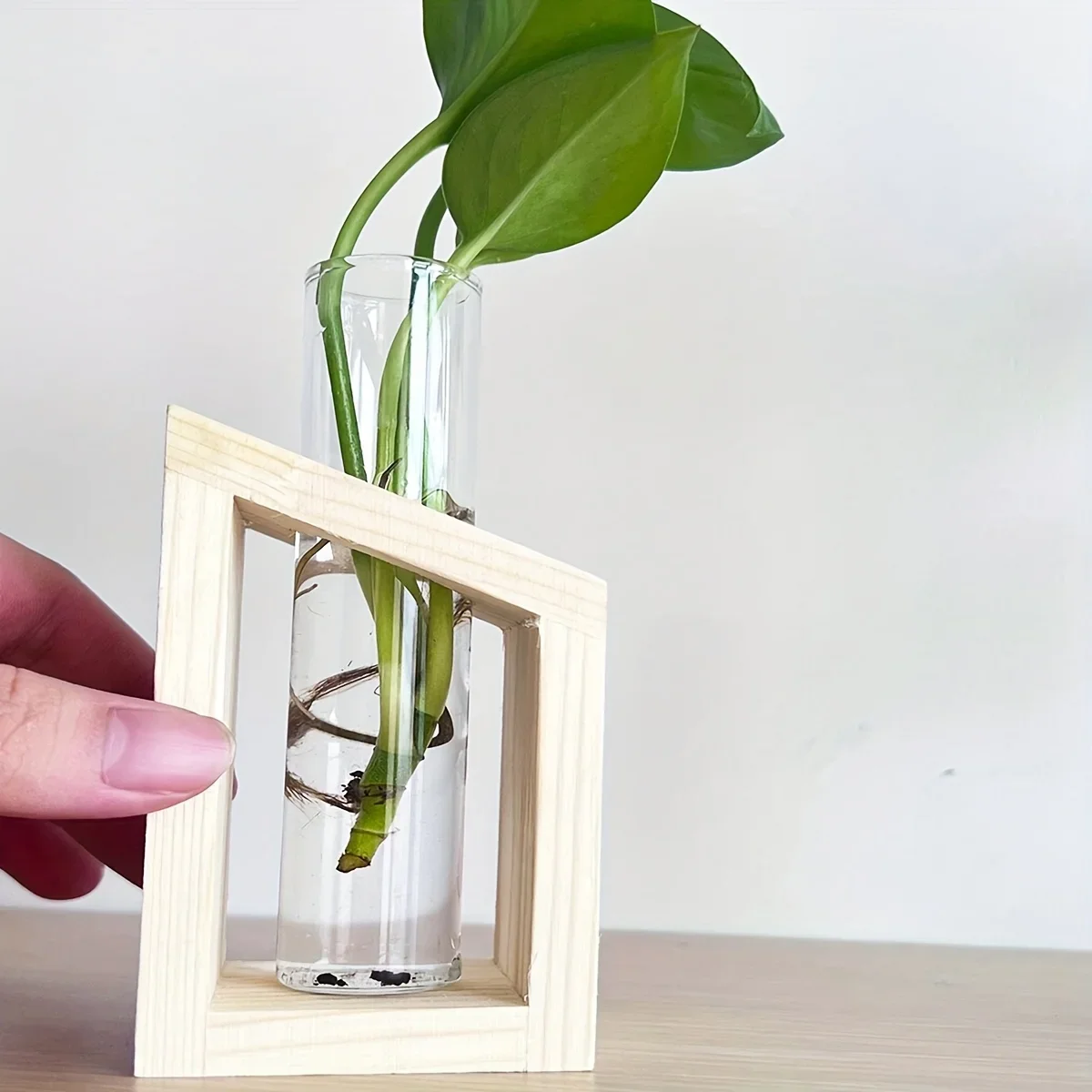 أنبوب اختبار مزهرية زجاجية محط - مراجعة Propagation Station Vase وسعره