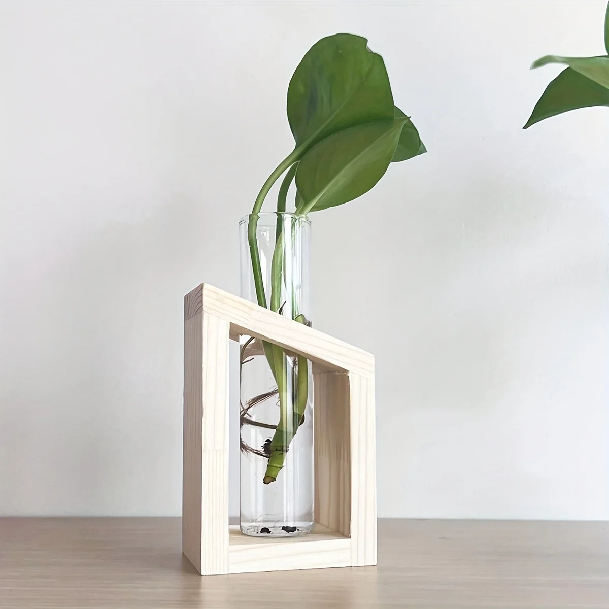 أنبوب اختبار مزهرية زجاجية محط - مراجعة Propagation Station Vase وسعره