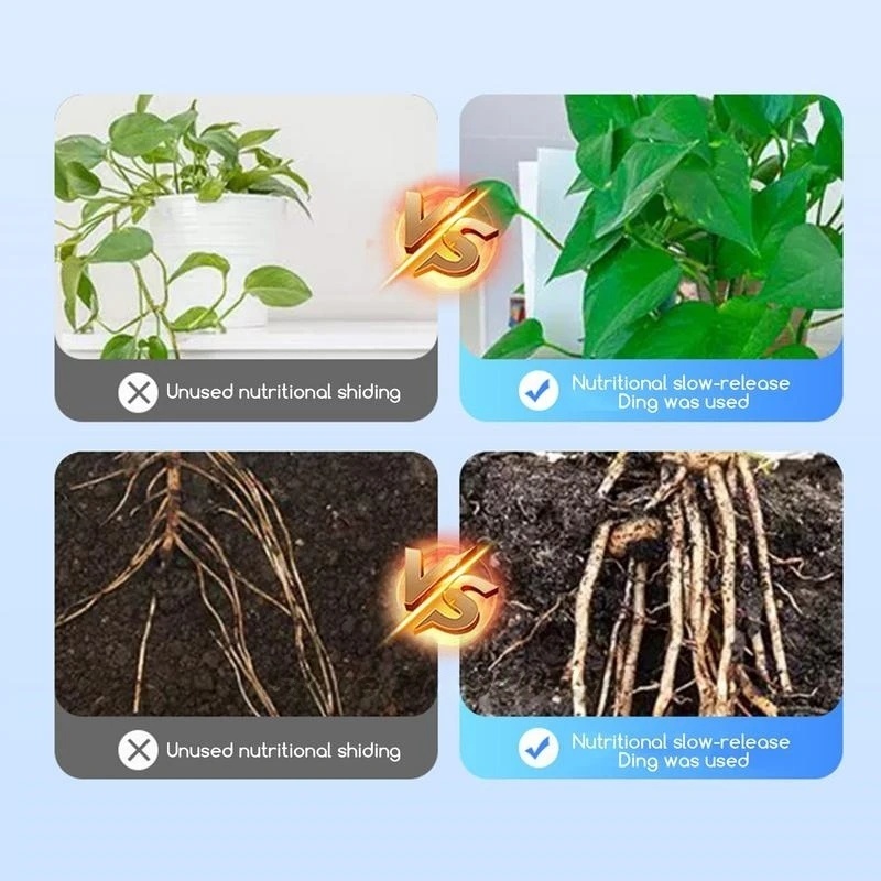 500 جرام مسحوق هرمون تأصيل عال - مراجعة Rooting Hormone Powder وسعره
