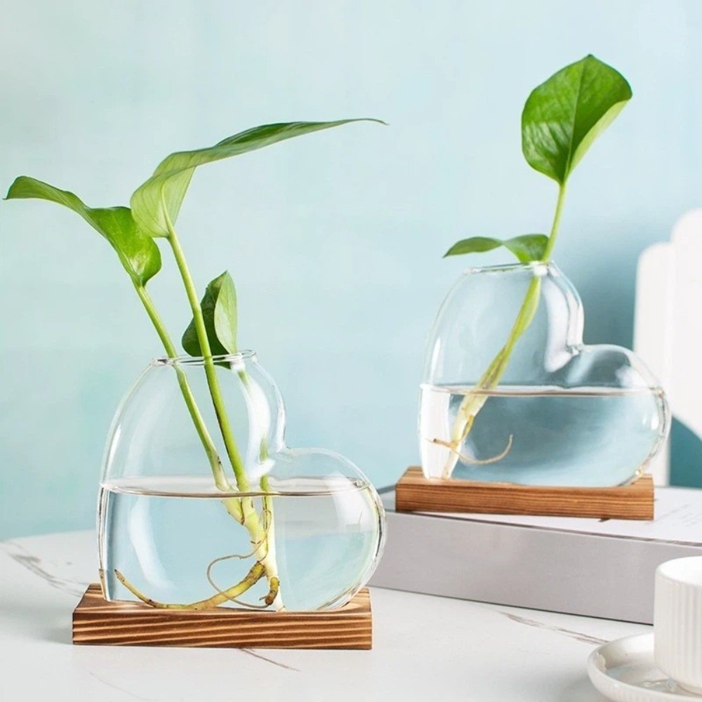 مزهرية زجاجية شفافة للزراعة ال - مراجعة Propagation Station Vase وسعره