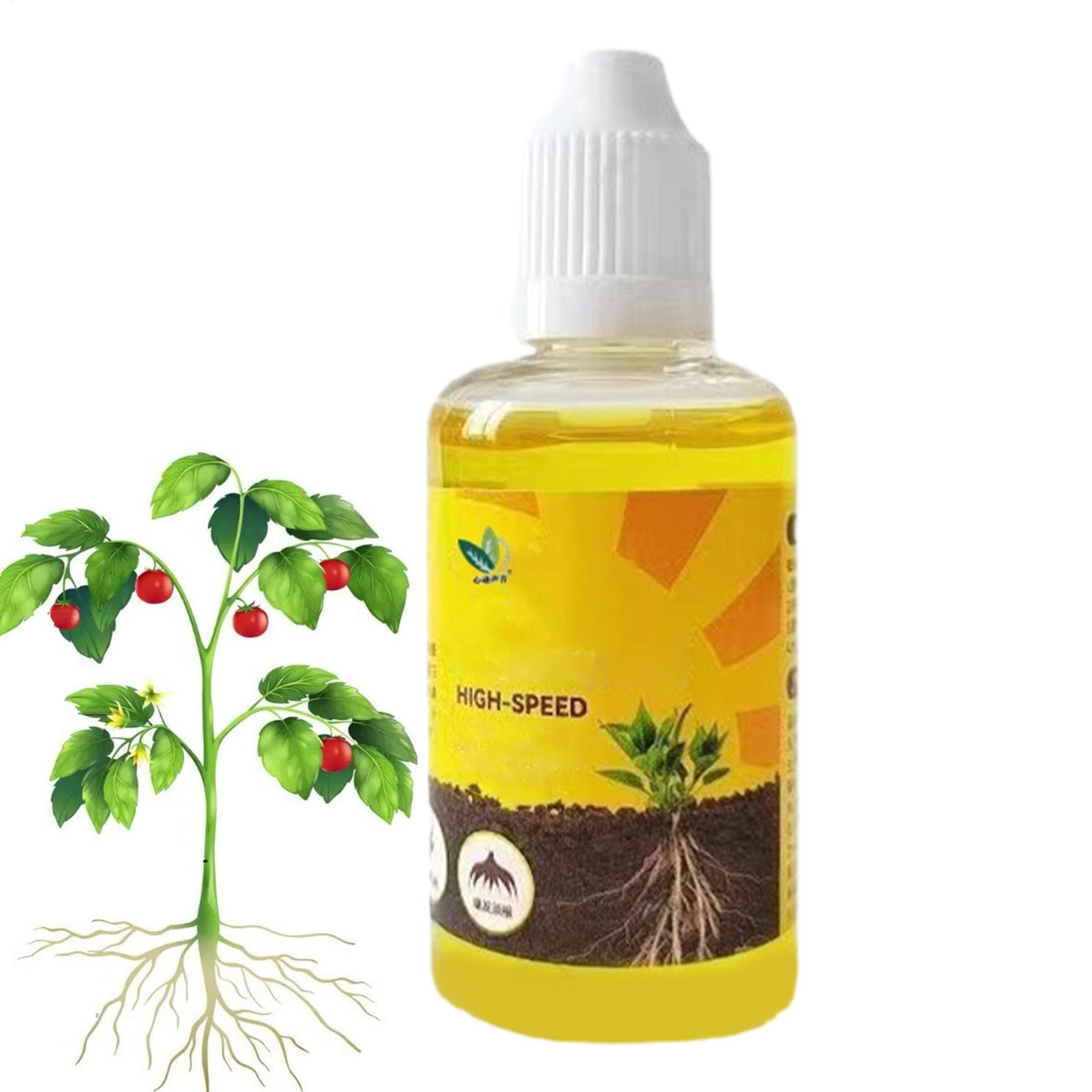 سريع بوتينغ تأصيل النباتات الم - مراجعة Root Stimulator Liquid وسعره
