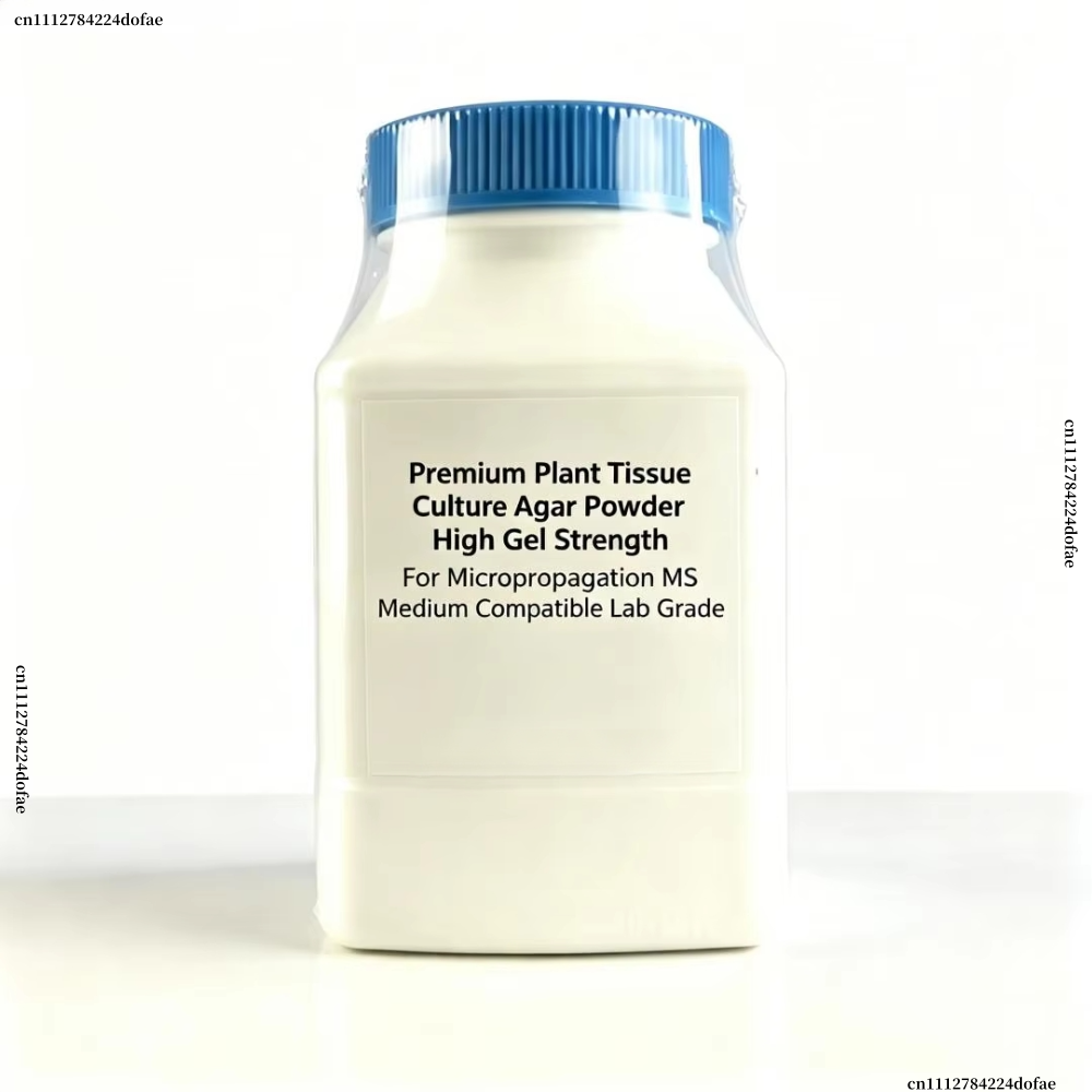 مسحوق أجار لزراعة الأنسجة النب - مراجعة Agar Tissue Culture وسعره